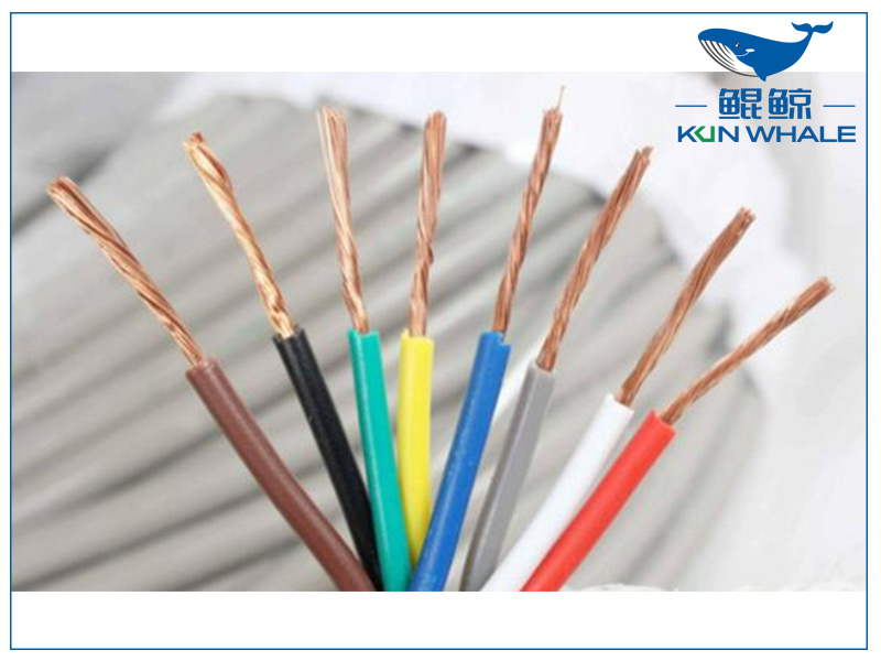 中纜太平洋淺談家電選擇的小技巧有哪些？